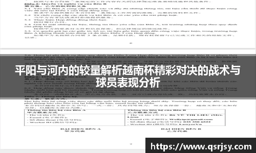平阳与河内的较量解析越南杯精彩对决的战术与球员表现分析